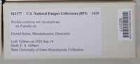 Image Associated With the Occurence